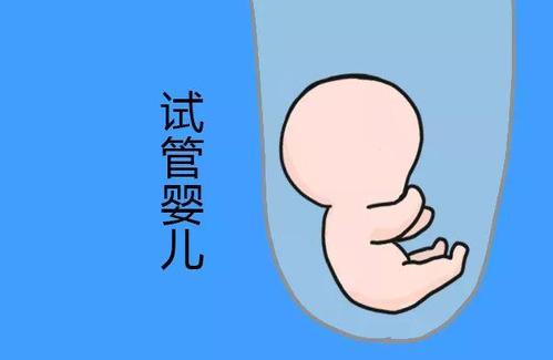 试管代怀生子助孕代妈